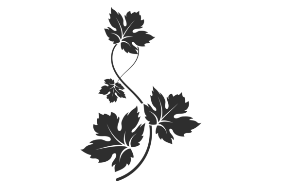 Black Curved Vine: Grape Branch Decorative Elements in Modern Design